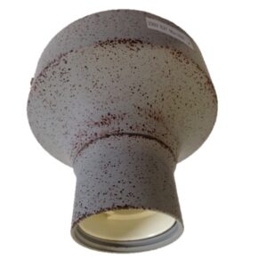 Tasso zink plafondlamp