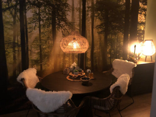 Twisk 50cm naturel hanglamp photo review