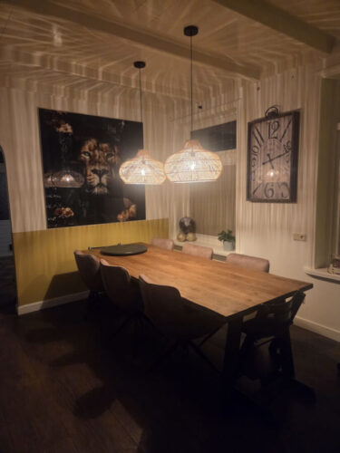 Twisk 70cm naturel hanglamp photo review